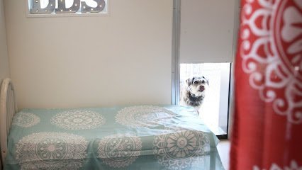 Dog day care in Fredericktown Ohio Lindsays Doggy Day Spa 1