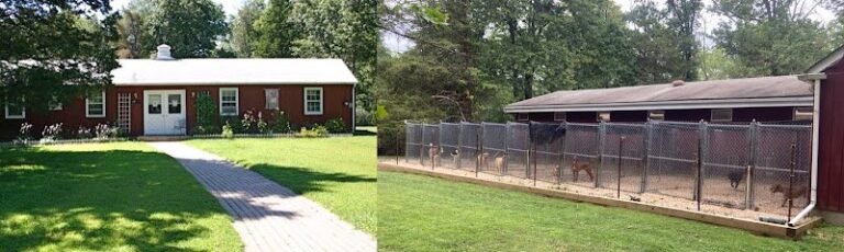 Dog day care in Frenchtown New Jersey Plateau Kennels LLC 1 768x230