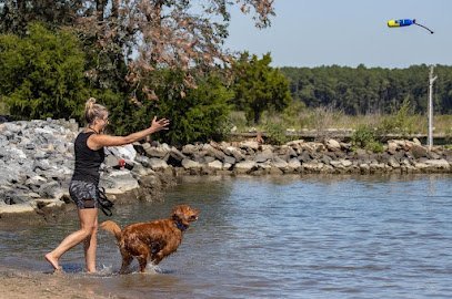 Dog day care in Fruitland Maryland The Dog Company 1