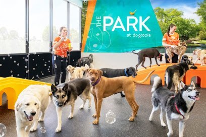 Dog day care in Fulshear Texas Dogtopia of Fulshear Katy 1