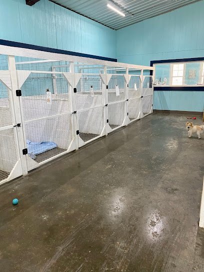 Dog day care in Fulton Mississippi The South Paws Resort 1
