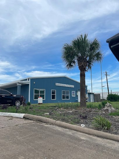Dog day care in Galveston Texas BoneVoyage Pet Resort 1