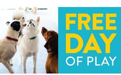 Dog day care in Garden City Idaho Dogtopia of Boise Greenbelt 1