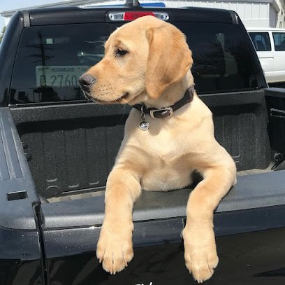 Dog day care in Garden City Kansas Dog Days Resort 1
