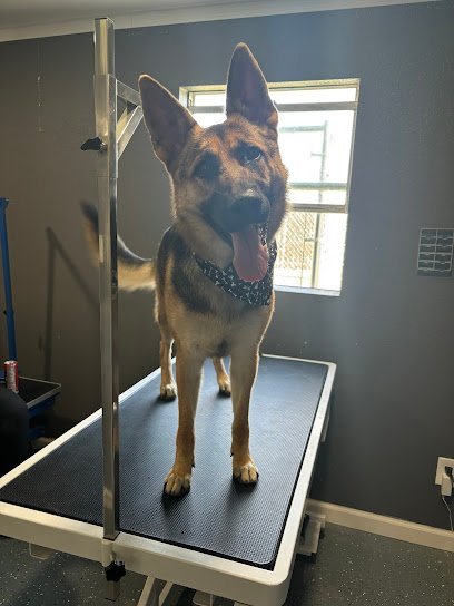 Dog day care in Garden City Kansas Otis House of Pups 1