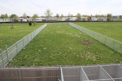 Dog day care in Gardner Kansas Dog Days Inn Cat House 1