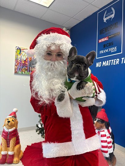 Dog day care in Garner North Carolina Blue Line K 9 Dog Training 1