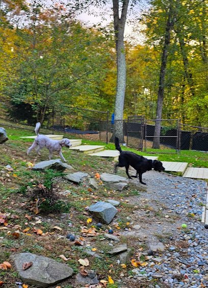Dog day care in Garrison New York Doggie Adventures 1