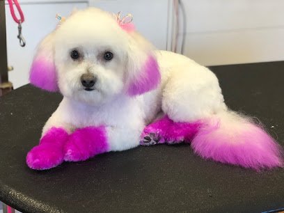 Dog day care in Garwood New Jersey Diamond in the Ruff 1