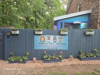 Dog day care in Gastonia North Carolina Andrea s Fuzz Therapy 1