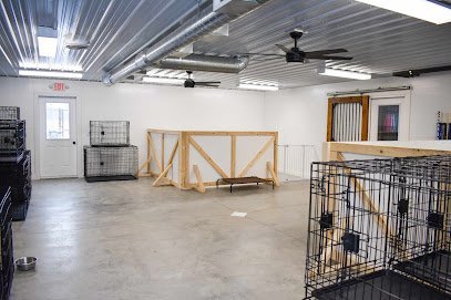 Dog day care in Geneva New York Charlie s Canine Camp 1