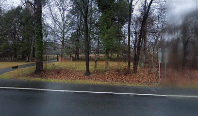 Dog day care in Germantown Maryland Free Dog MD 1