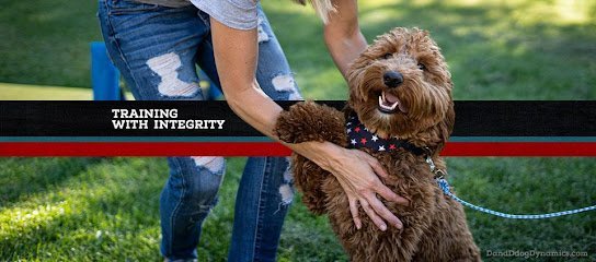 Dog day care in Gladstone Michigan D D Dog Dynamics Daycare Lodging 1