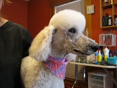 Dog day care in Goffstown New Hampshire The Master s Choice Grooming Boutique Daycare 1