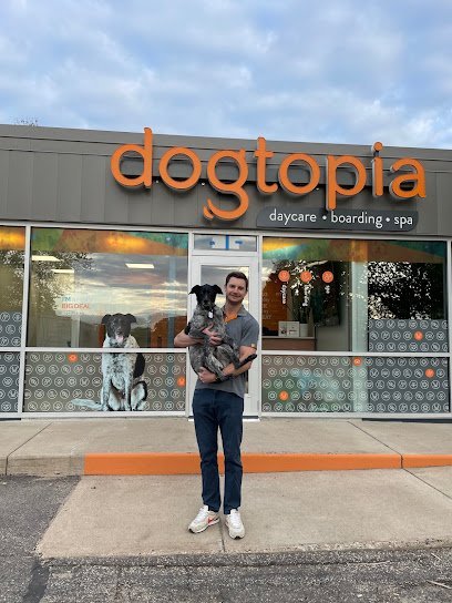 Dog day care in Golden Valley Minnesota Dogtopia of Golden Valley 1