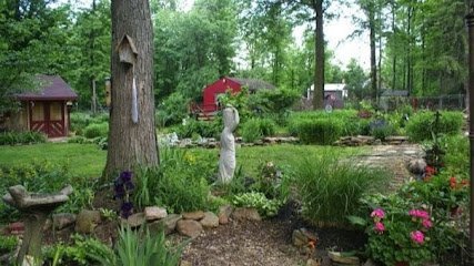 Dog day care in Grafton Ohio The Doggie Inn 1