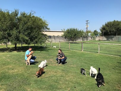 Dog day care in Granbury Texas Midtown Pet Retreat 1