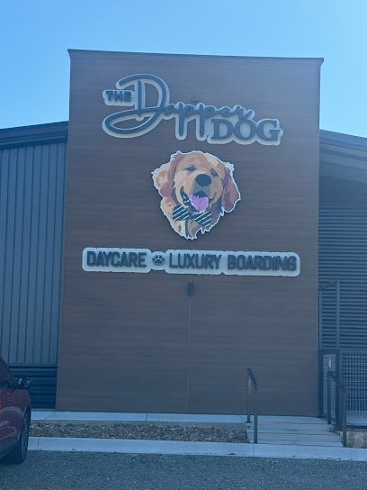 Dog day care in Granbury Texas The Dapper Dog Granbury 1