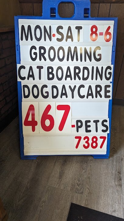 Dog day care in Granby Massachusetts Dog Cat Grooming at Kim s Pet Resort LLC Granby Ma 1