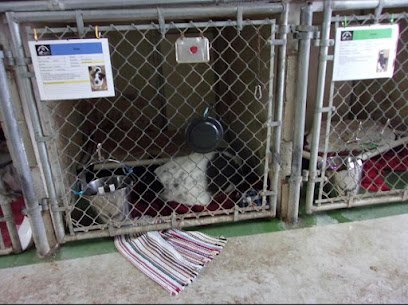 Dog day care in Grand Blanc Michigan All About Pets 1