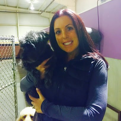 Dog day care in Grand Blanc Michigan The Four Paws Hotel Day Resort 1