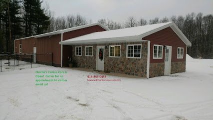 Dog day care in Grand Rapids Michigan Charlie s Canine Care 1