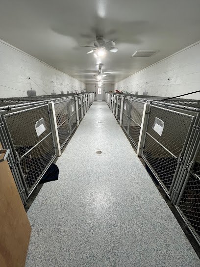 Dog day care in Greensboro North Carolina Abbott s Groom Board 1