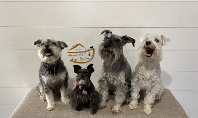 Dog day care in Greensboro North Carolina Amanda s Ark Pet Care LLC 1