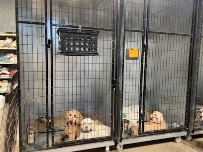 Dog day care in Grenada Mississippi Lake City Barks and Recreation 1