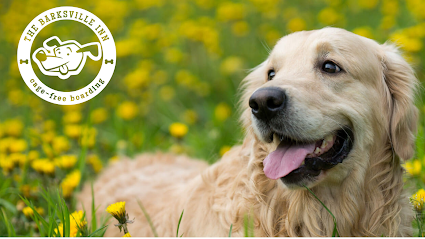 Dog day care in Groton New York The Barksville Inn 1