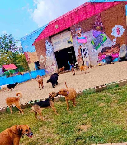 Dog day care in Grove City Ohio Fuzzz PlayGround 1