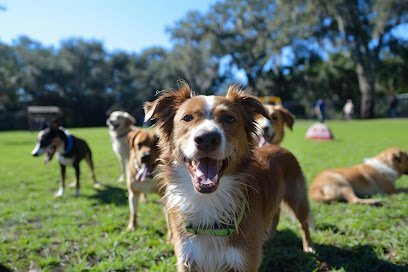 Dog day care in Grove Oklahoma PetSquad 1