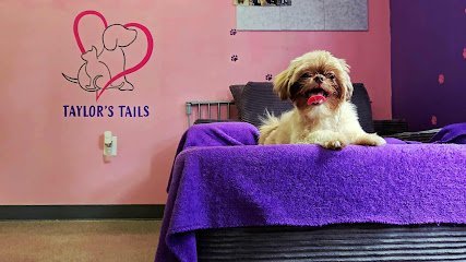 Dog day care in Gulfport Mississippi Taylor s Tails 1