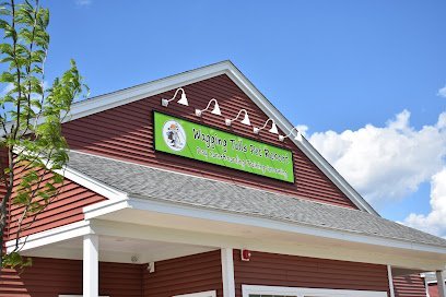 Dog day care in Hadley Massachusetts Wagging Tails Pet Resort 1