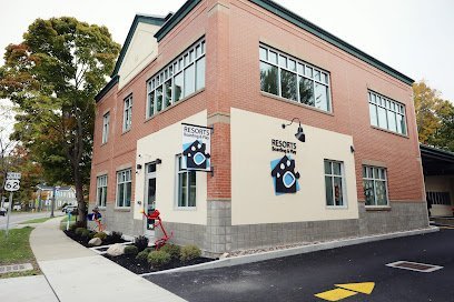 Dog day care in Hamburg New York Resorts Boarding Play 1