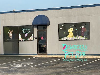 Dog day care in Harriman Tennessee Dewberry Pet Spa Boarding Doggy Daycare Dog Training 1