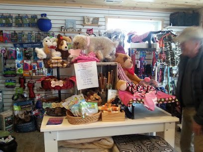 Dog day care in Hawley Minnesota CJ s Pet Center 1