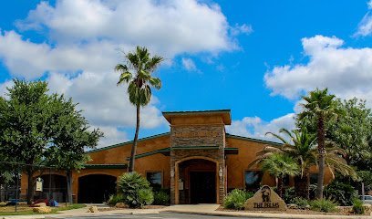 Dog day care in Helotes Texas The Palms Pet Resort Spa 1