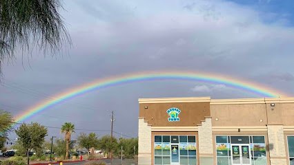 Dog day care in Henderson Nevada Hounds Town Henderson 1 1