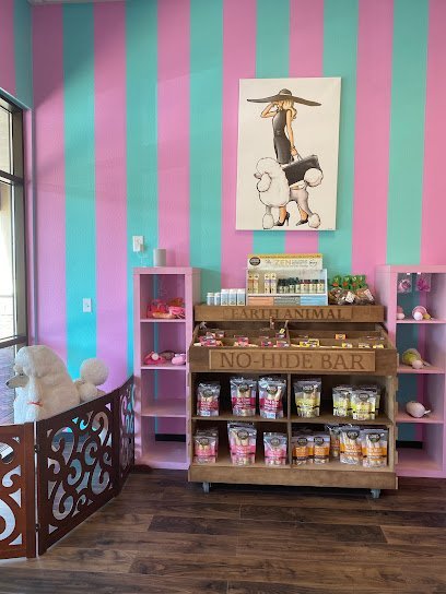 Dog day care in Henderson Nevada Snooty LaRue Pet Spa Play 1 1