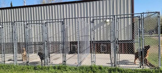 Dog day care in Hibbing Minnesota Northern Pines Dog Boarding 1