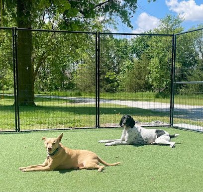 Dog day care in Hickman Nebraska WagNTrain Kennels LLC 1 1