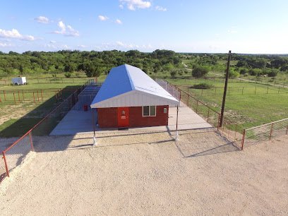 Dog day care in Hico Texas Amayla Kennels 1