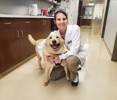 Dog day care in High Ridge Missouri Murphy Animal Hospital 1