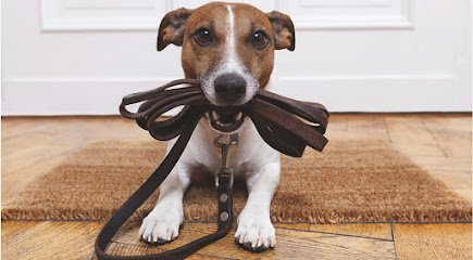 Dog day care in High Ridge Missouri The Dog House Inc 1 1