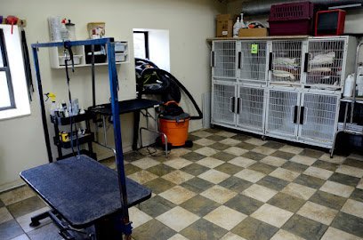 Dog day care in Highland Township Michigan Sniffer Station 1