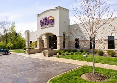 Dog day care in Hilliard Ohio Pet Palace Hilliard 1