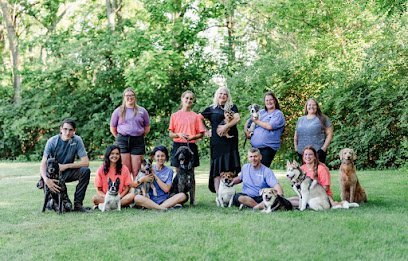 Dog day care in Hilliard Ohio Unlimited Pawsibilities Inc 1