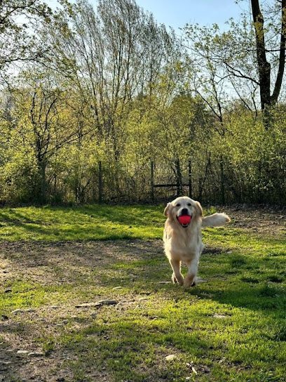 Dog day care in Hillsdale Michigan Hillsdale Puppy Paradise 1