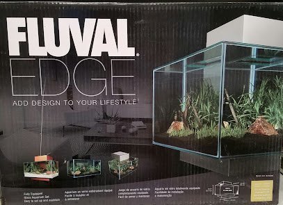 Dog day care in Hilton New York Pet Friendly 1